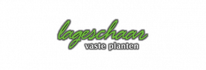 lageschaar Lageschaar