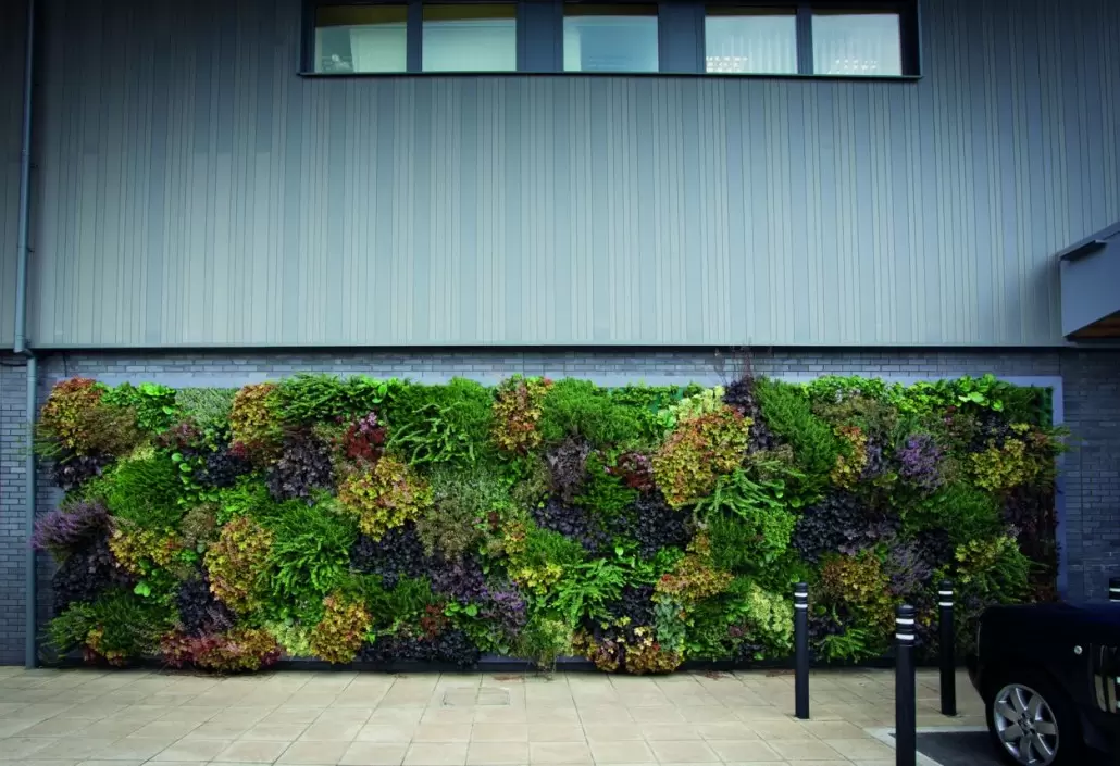 Plantenwand
