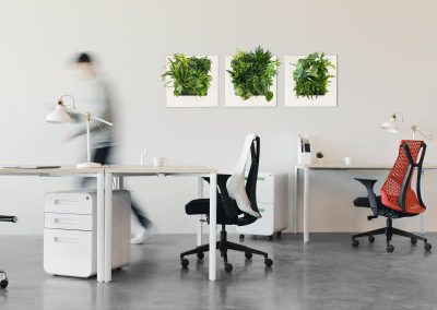 kantoor planten