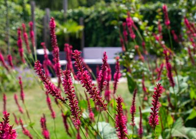 Bloemrijke levende tuin – Driebergen
