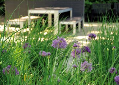 Bosachtige tuin