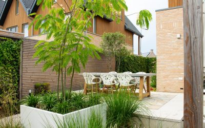 Nieuwbouwtuin aanleggen: van bouwgrond naar een levende bodem