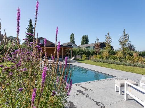 Landelijke tuin met zwembad – Benschop