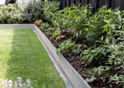 Groene moderne tuin