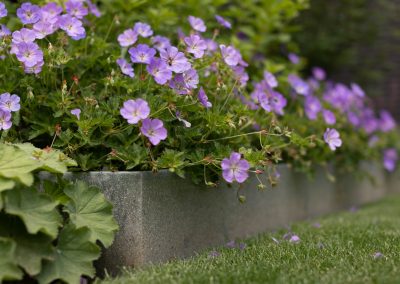 kantopsluiting in moderne tuin