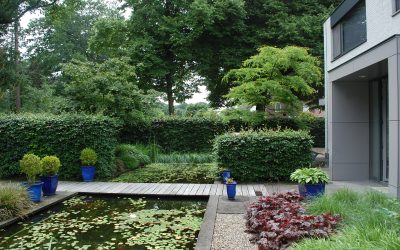 Wanneer is je tuin toe aan vernieuwing? Herken de signalen van een verouderde tuin