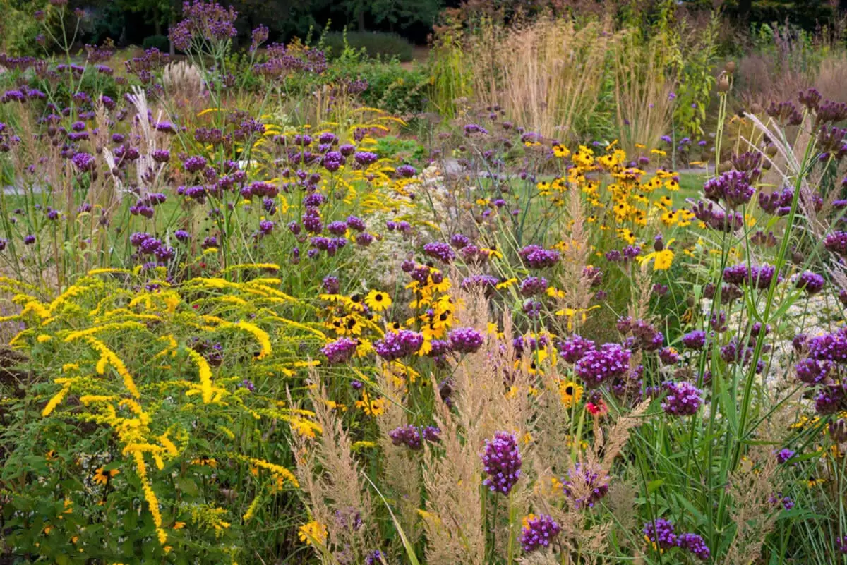 eigentijdse tuin