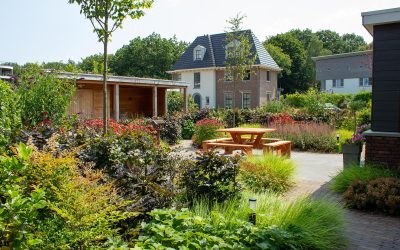 Tuin renoveren? Zo weet u wanneer uw tuin toe is aan vernieuwing