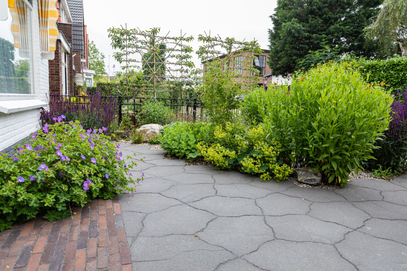 Project Soest