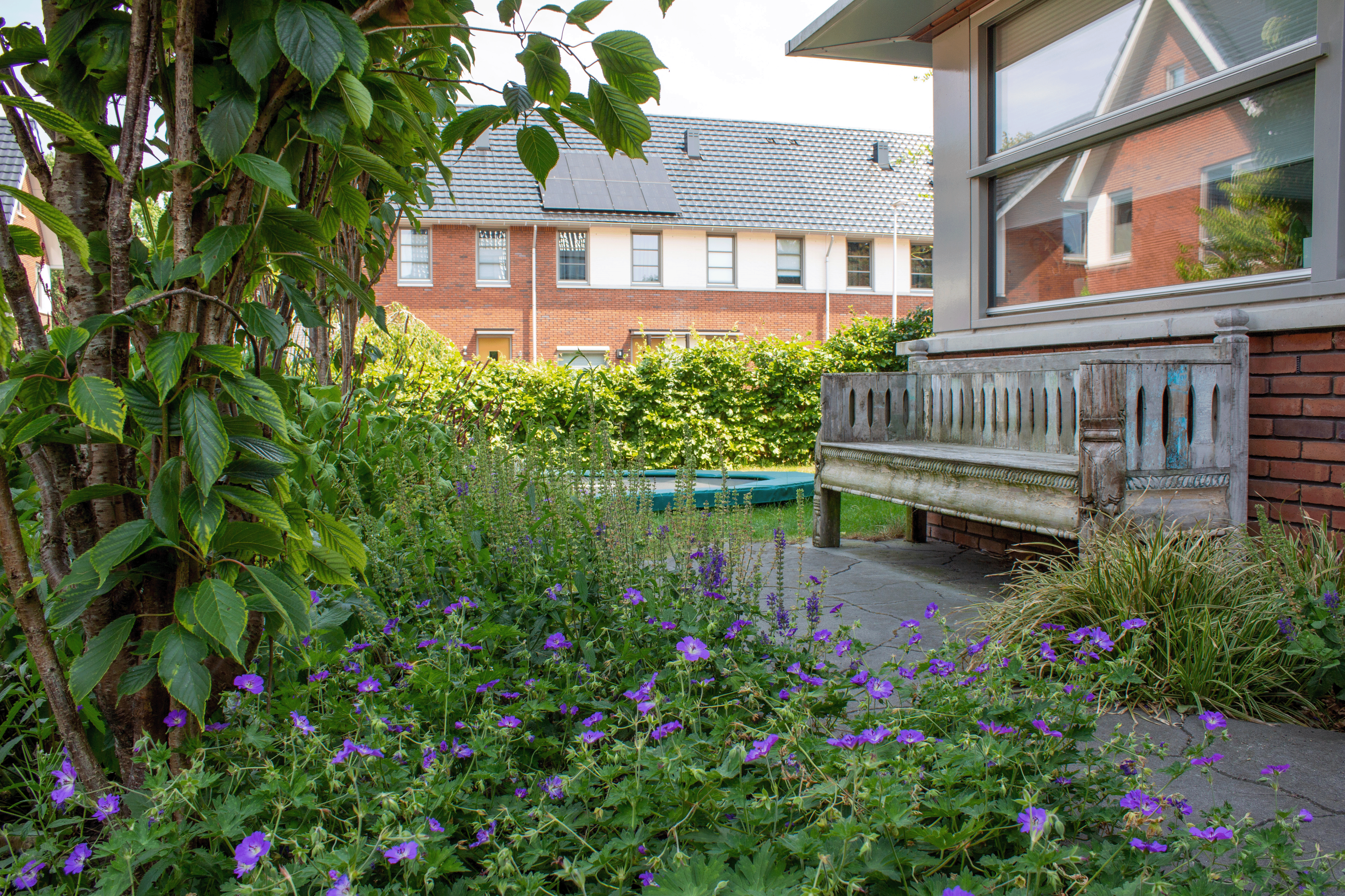 Moderne voortuin