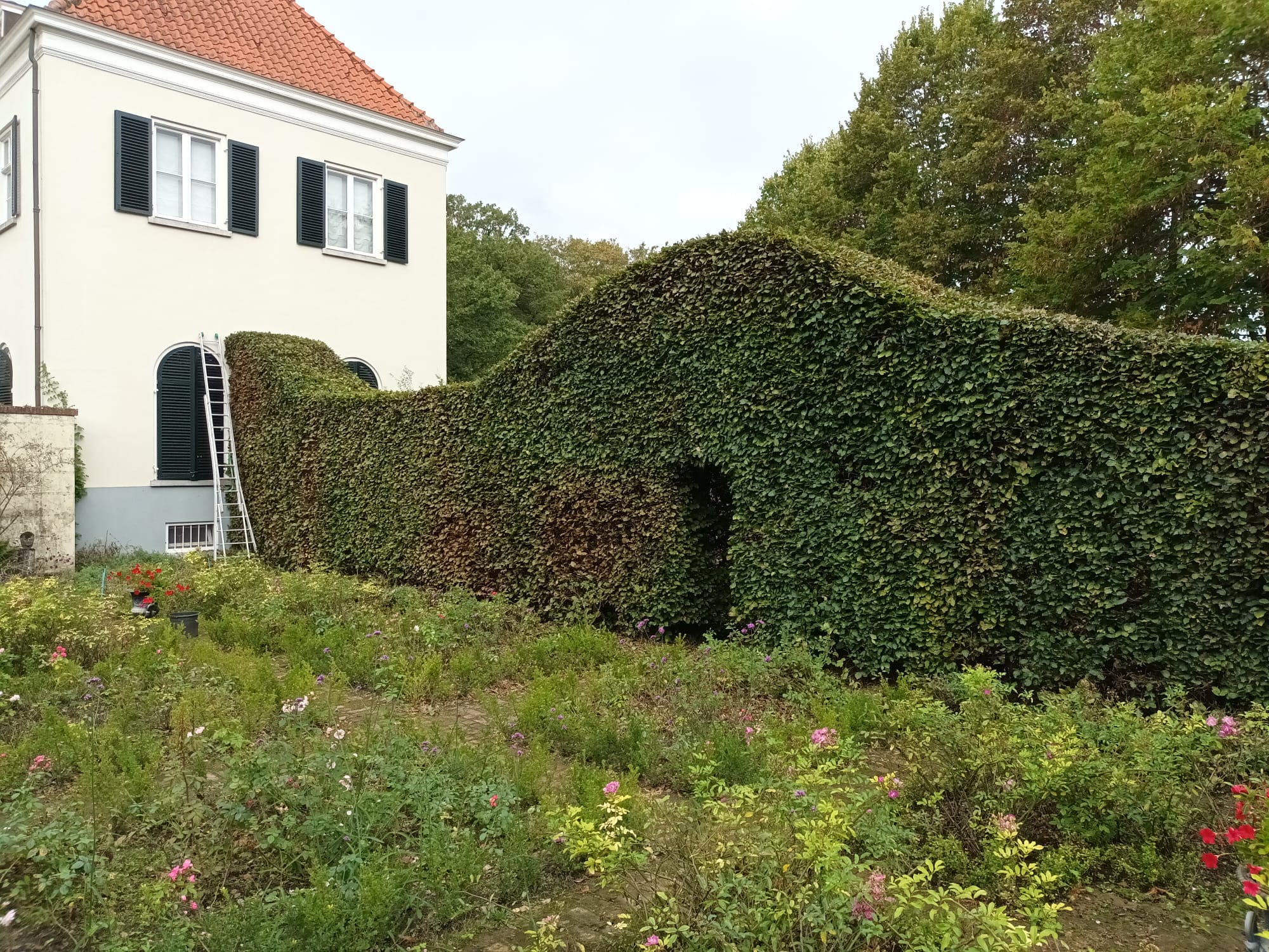 Tuinonderhoud laten doen