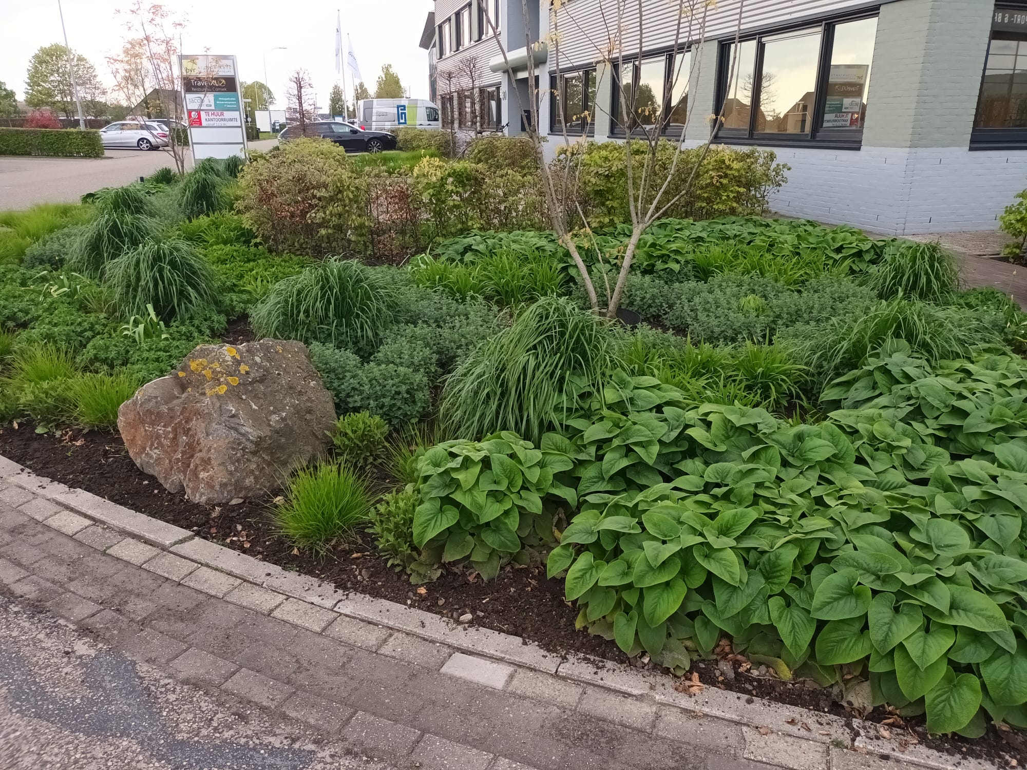 tuinonderhoud 3 bedrijfstuin laten onderhouden