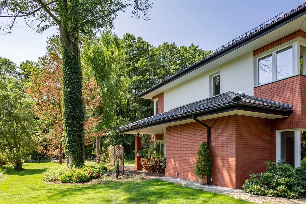 boom bij huis