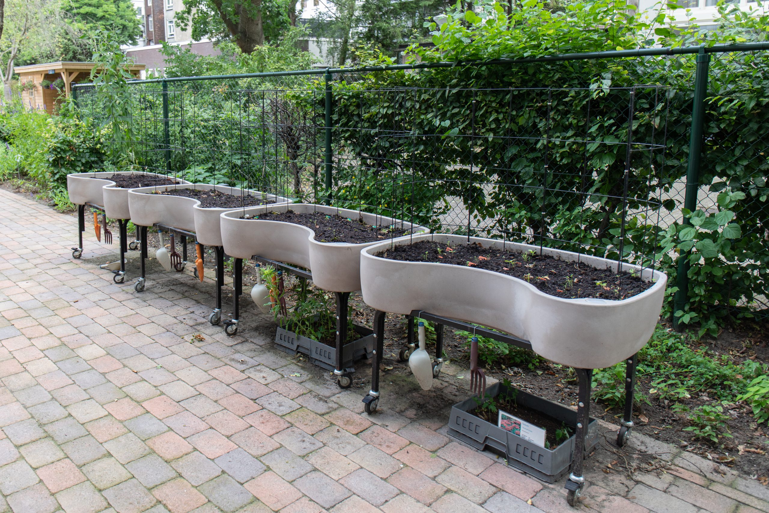 moestuinbakken