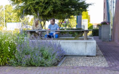 Ontspanning in het groen: de kracht van een groene omgeving