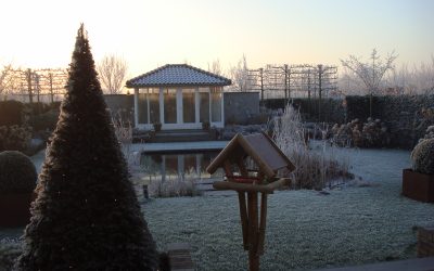 Maak je tuin in de winter interessant voor jezelf én voor het dierenleven