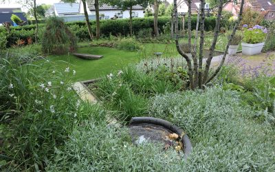 Kies voor een ecologische tuin – Duurzaam, onderhoudsvriendelijk en vol natuur