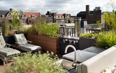 Transformeer jouw dak tot een groene oase met professionele dakterras aanleg