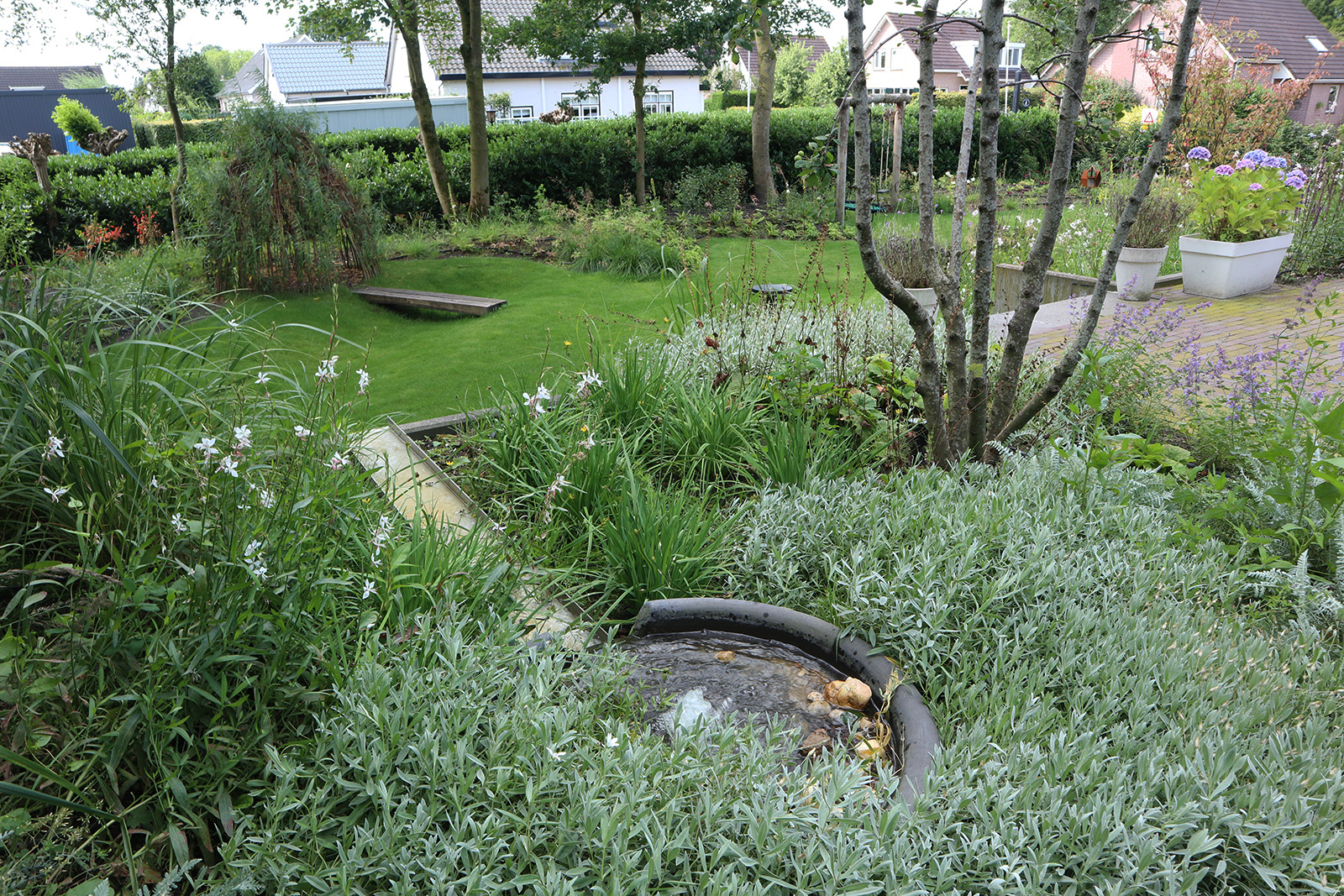 Biodiverse tuin